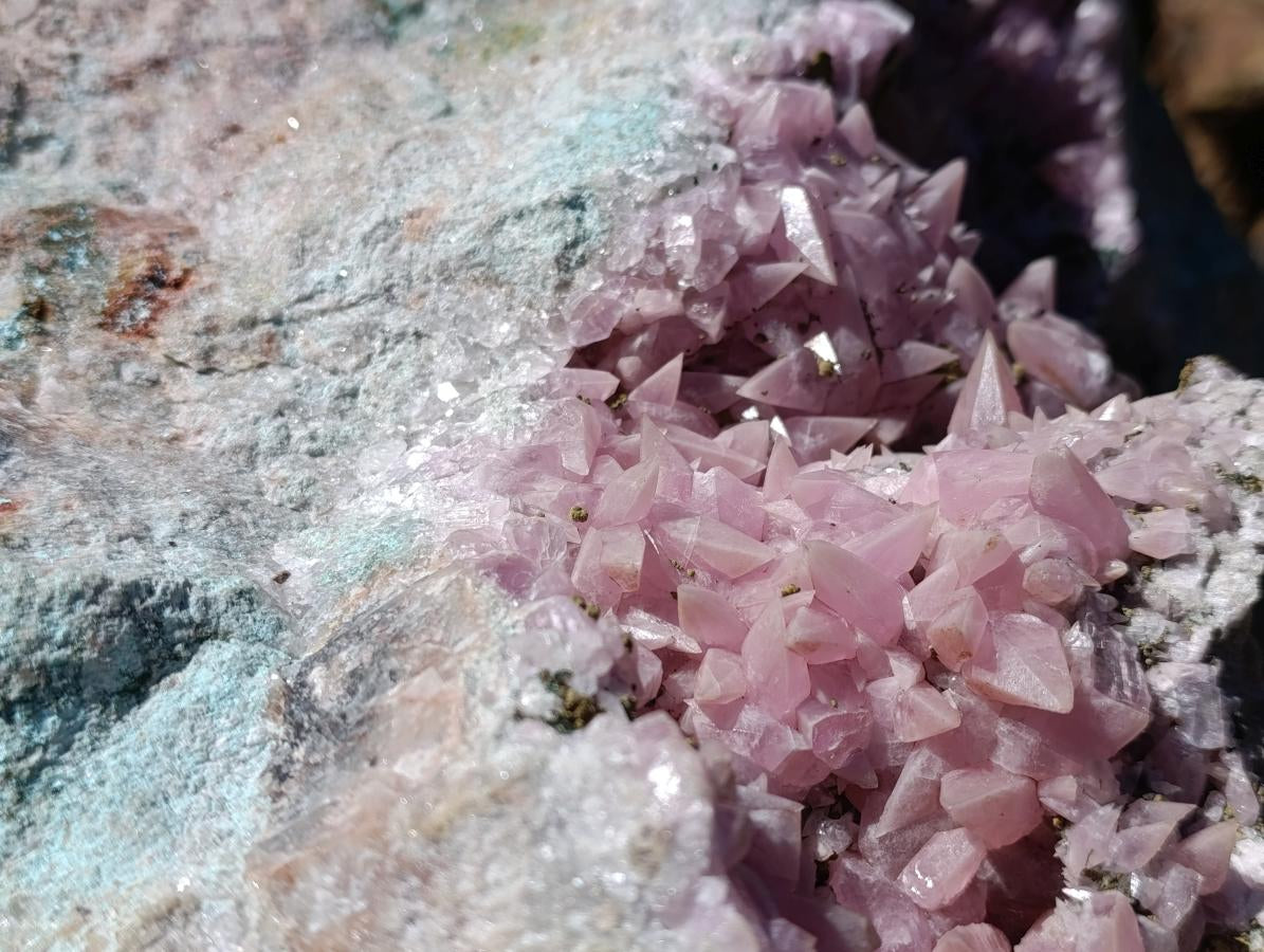 Natural XXL Extra Rare Rhodocalcite on Dolomite Specimen x 1 From Mashamba West Mine, Congo