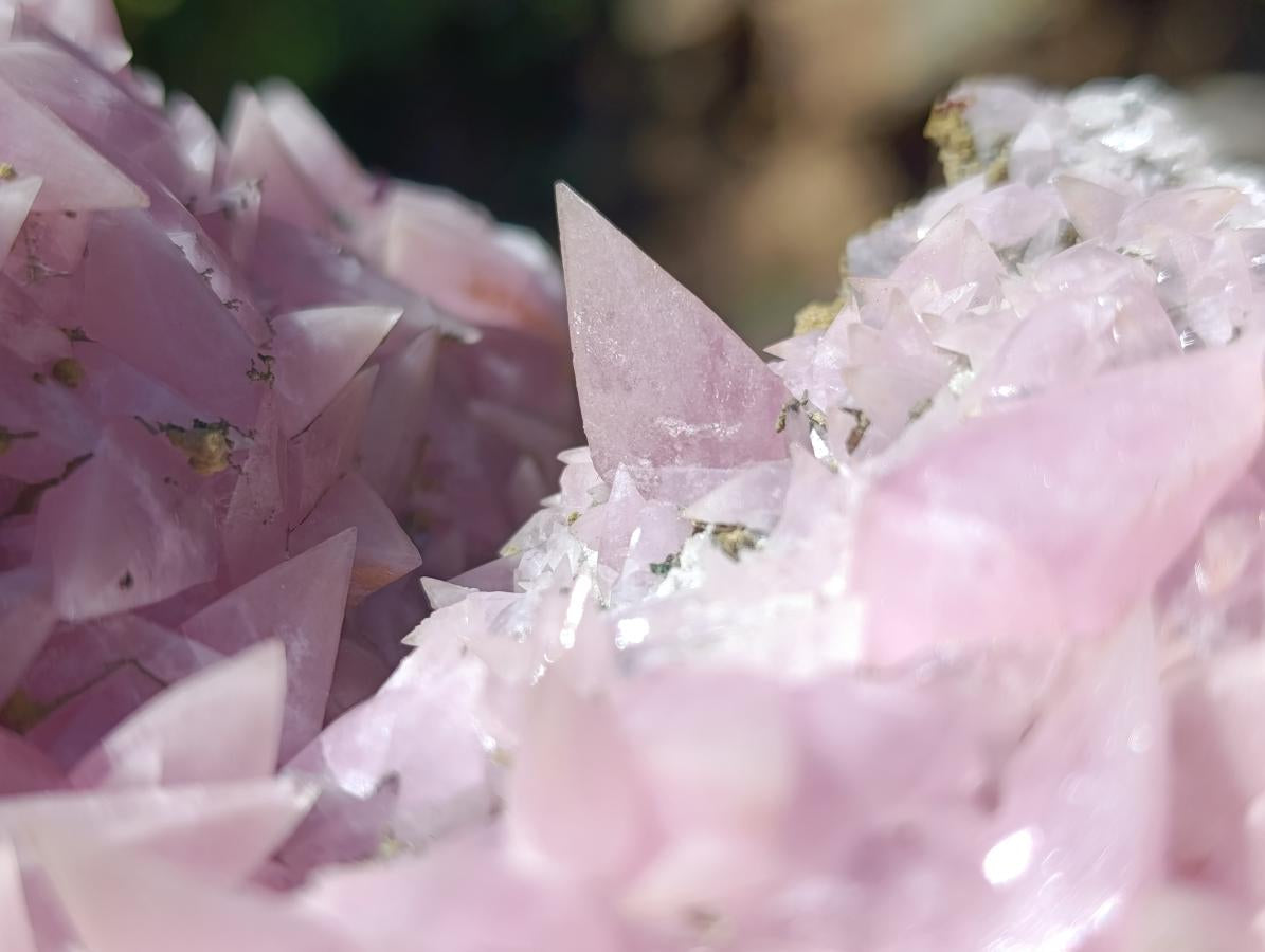 Natural XXL Extra Rare Rhodocalcite on Dolomite Specimen x 1 From Mashamba West Mine, Congo