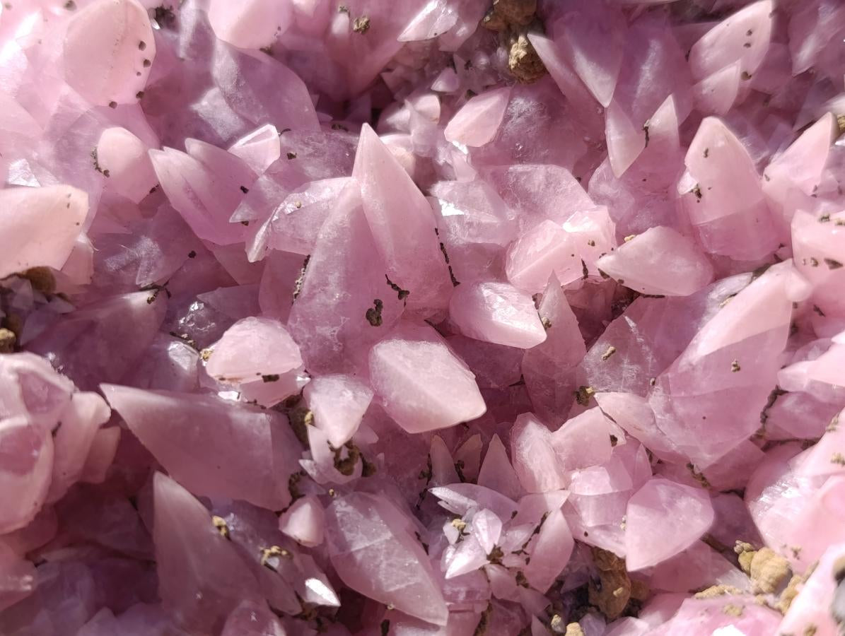 Natural XXL Extra Rare Rhodocalcite on Dolomite Specimen x 1 From Mashamba West Mine, Congo