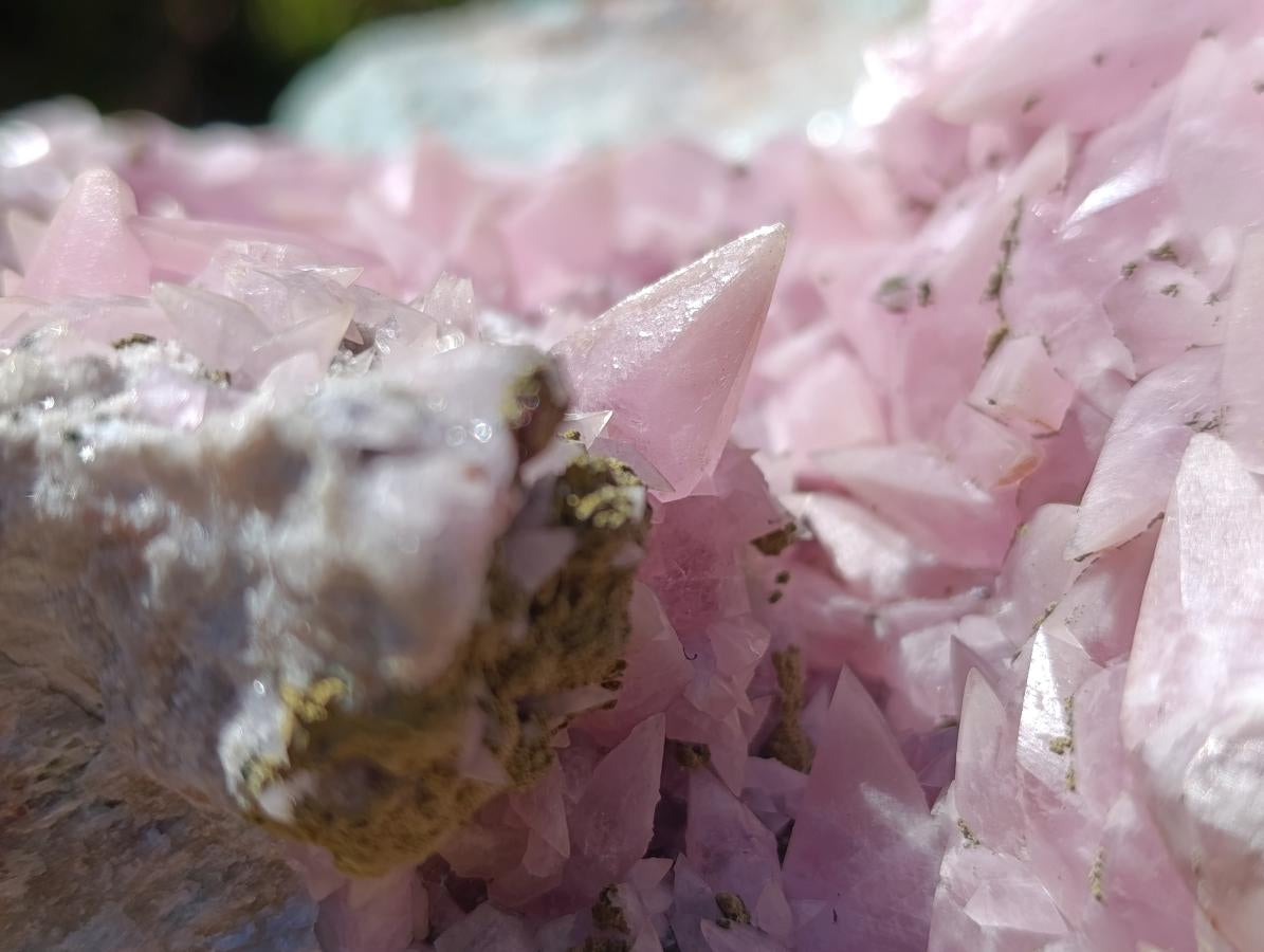 Natural XXL Extra Rare Rhodocalcite on Dolomite Specimen x 1 From Mashamba West Mine, Congo