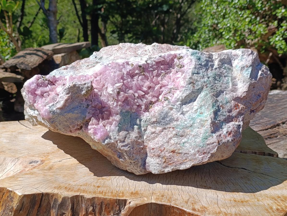 Natural XXL Extra Rare Rhodocalcite on Dolomite Specimen x 1 From Mashamba West Mine, Congo
