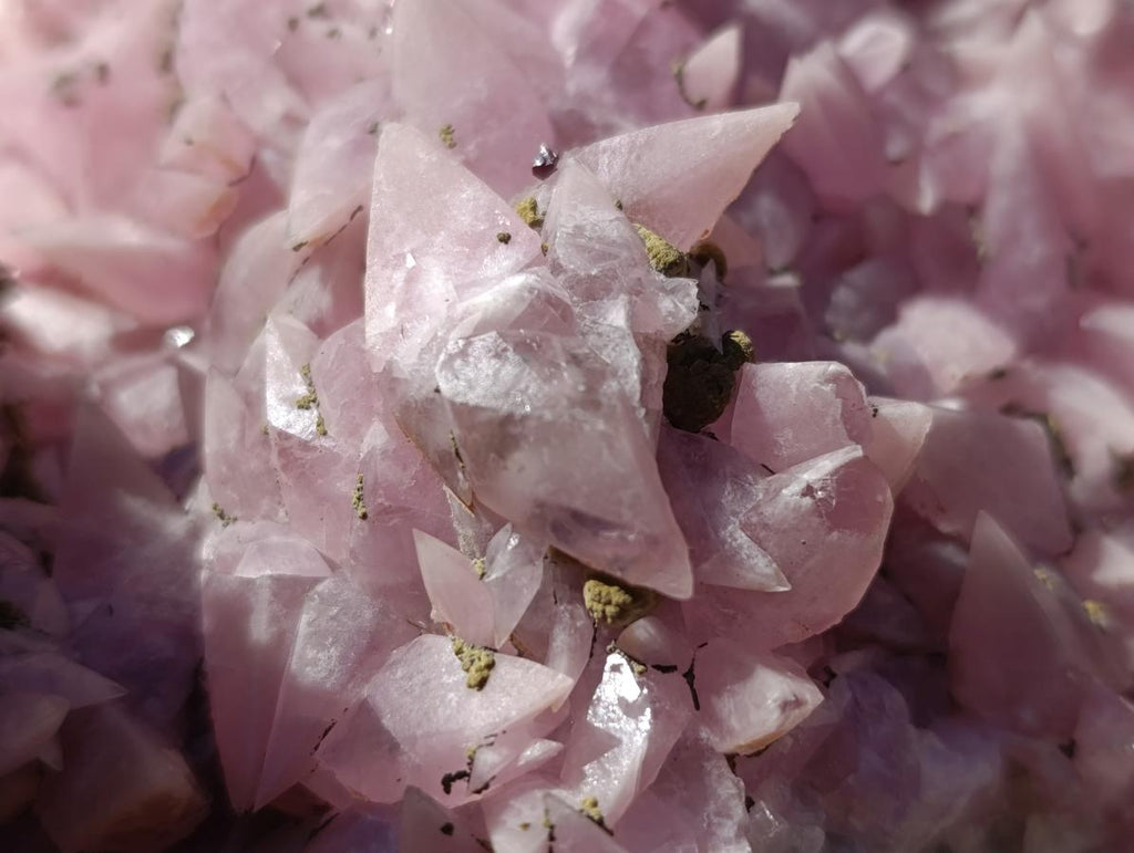 Natural XXL Extra Rare Rhodocalcite on Dolomite Specimen x 1 From Mashamba West Mine, Congo