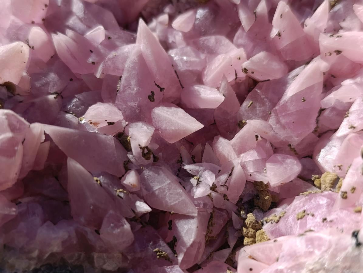 Natural XXL Extra Rare Rhodocalcite on Dolomite Specimen x 1 From Mashamba West Mine, Congo