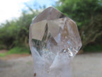 Polished Clear Quartz Sceptre Crystal x 1 From Madagascar