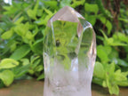 Polished Clear Quartz Sceptre Crystal x 1 From Madagascar