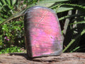 Polished Pure Purple Flash Labradorite Display Piece x 1 From Tulear, Madagascar