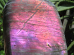 Polished Pure Purple Flash Labradorite Display Piece x 1 From Tulear, Madagascar