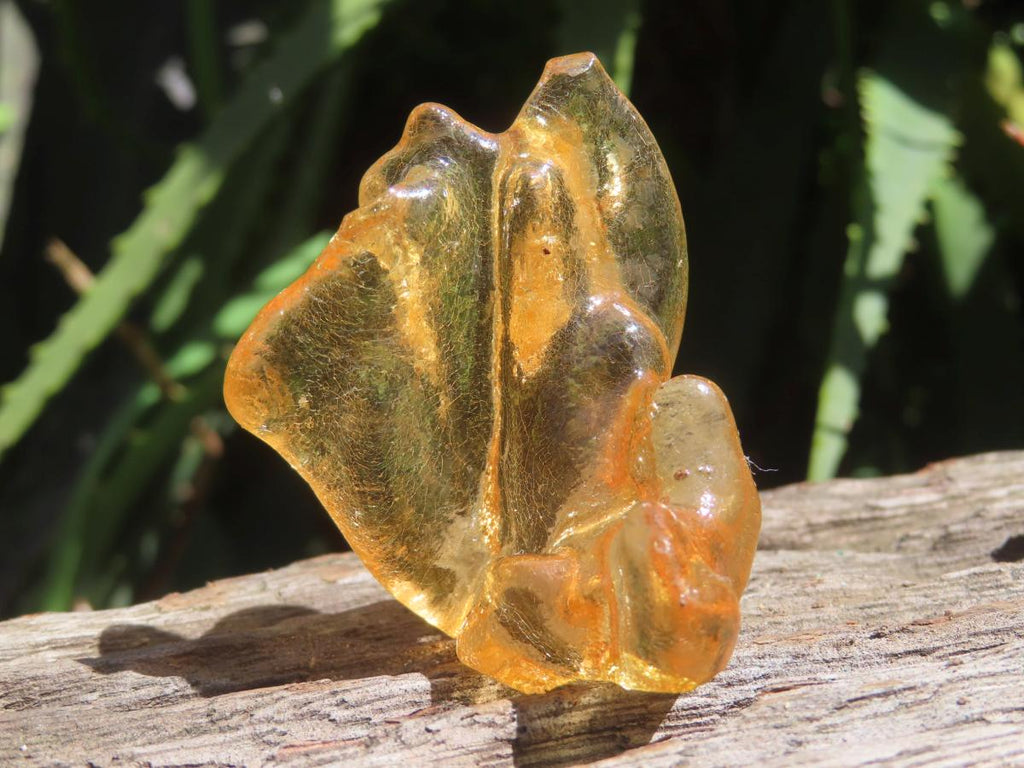 Natural Honey Copal Amber Specimen x 1 From Nosy Varika, Madagascar