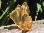 Natural Honey Copal Amber Specimen x 1 From Nosy Varika, Madagascar