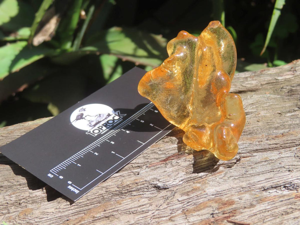Natural Honey Copal Amber Specimen x 1 From Nosy Varika, Madagascar