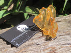 Natural Honey Copal Amber Specimen x 1 From Nosy Varika, Madagascar