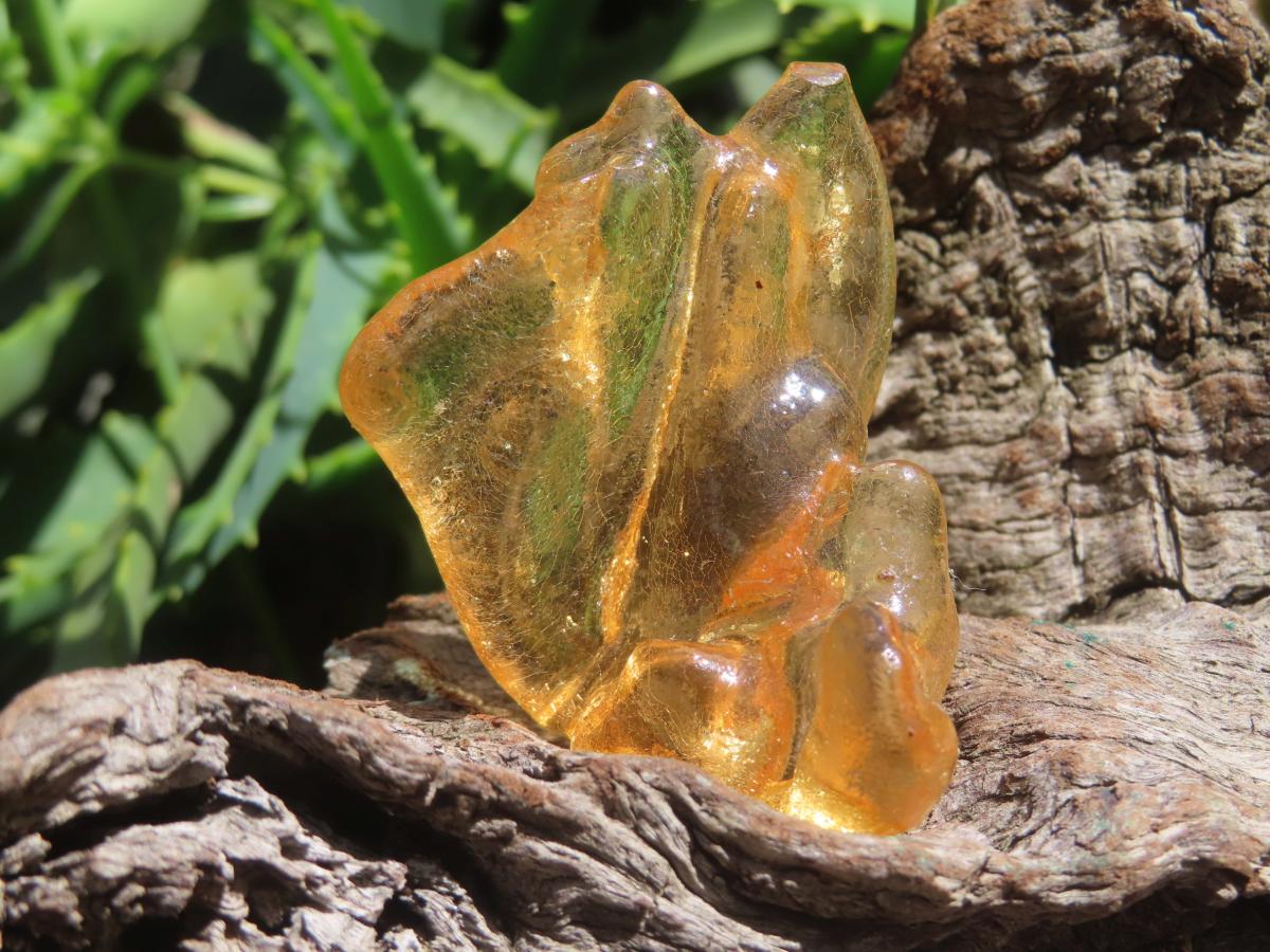 Natural Honey Copal Amber Specimen x 1 From Nosy Varika, Madagascar