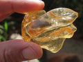 Natural Honey Copal Amber Specimen x 1 From Nosy Varika, Madagascar