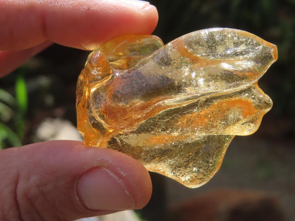 Natural Honey Copal Amber Specimen x 1 From Nosy Varika, Madagascar