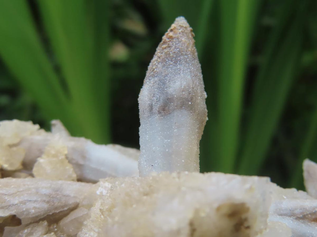 Natural Multi-Terminated Spearhead Calcite Specimen x 1 From Albert's Mountain, Lesotho