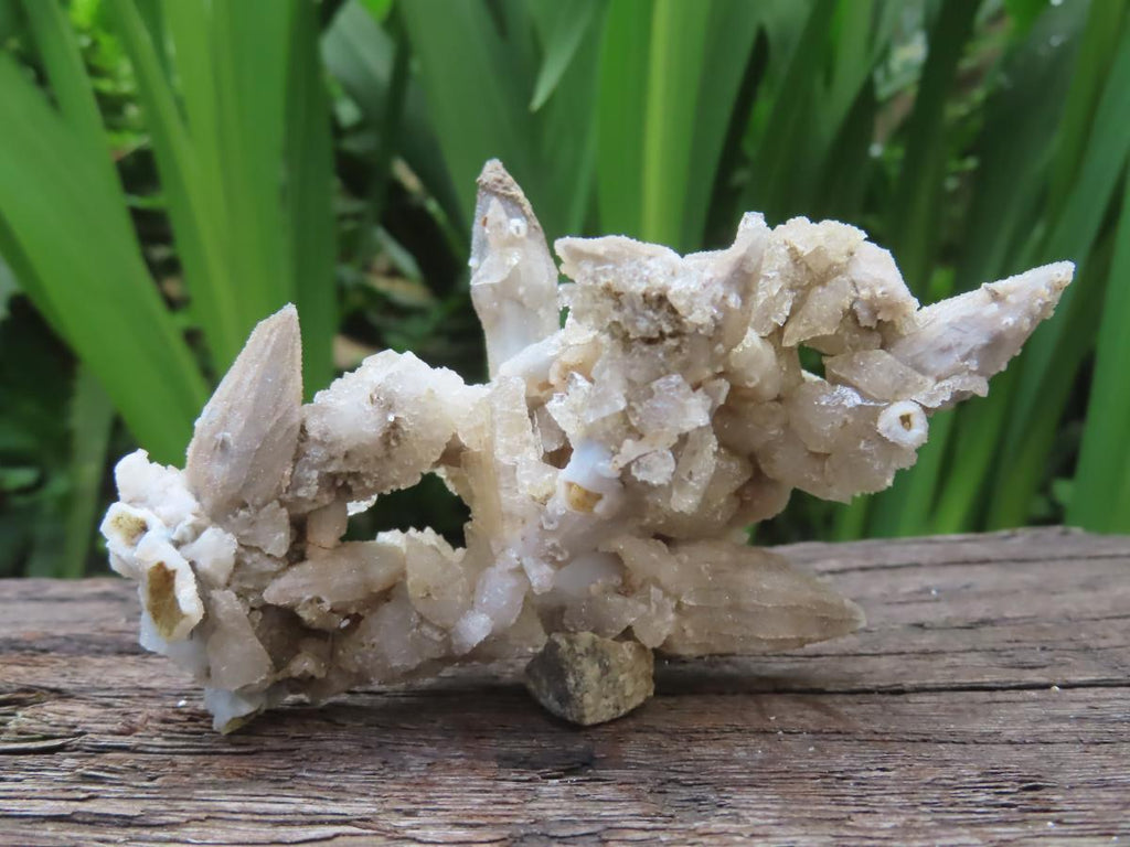 Natural Multi-Terminated Spearhead Calcite Specimen x 1 From Albert's Mountain, Lesotho