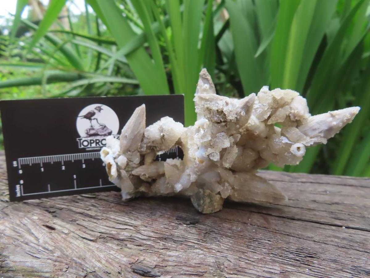 Natural Multi-Terminated Spearhead Calcite Specimen x 1 From Albert's Mountain, Lesotho