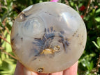 Polished Dendrite in Agate Palm Stone x 1 From Moralambo, Madagascar