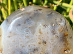 Polished Dendrite in Agate Palm Stone x 1 From Moralambo, Madagascar