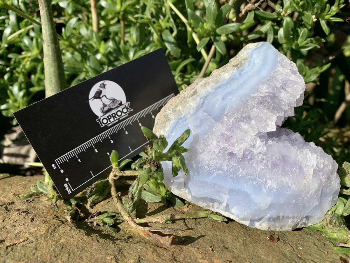 Natural Blue Lace Agate With Amethyst Crystal Vug x 1 From Nsanje, Malawi