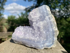 Natural Blue Lace Agate With Amethyst Crystal Vug x 1 From Nsanje, Malawi