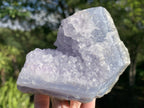 Natural Blue Lace Agate With Amethyst Crystal Vug x 1 From Nsanje, Malawi