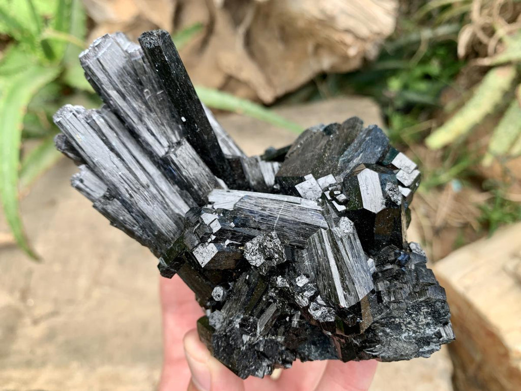 Natural Large Schorl Black Tourmaline Cabinet Specimen x 1 From Erongo, Namibia