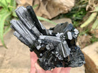 Natural Large Schorl Black Tourmaline Cabinet Specimen x 1 From Erongo, Namibia