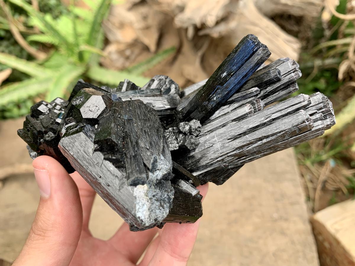 Natural Large Schorl Black Tourmaline Cabinet Specimen x 1 From Erongo, Namibia