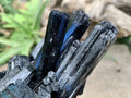 Natural Large Schorl Black Tourmaline Cabinet Specimen x 1 From Erongo, Namibia
