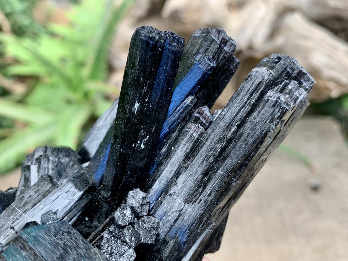 Natural Large Schorl Black Tourmaline Cabinet Specimen x 1 From Erongo, Namibia