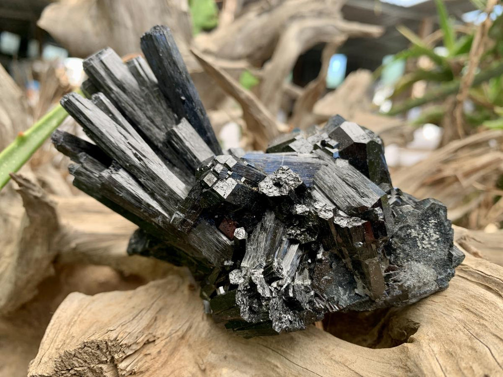 Natural Large Schorl Black Tourmaline Cabinet Specimen x 1 From Erongo, Namibia