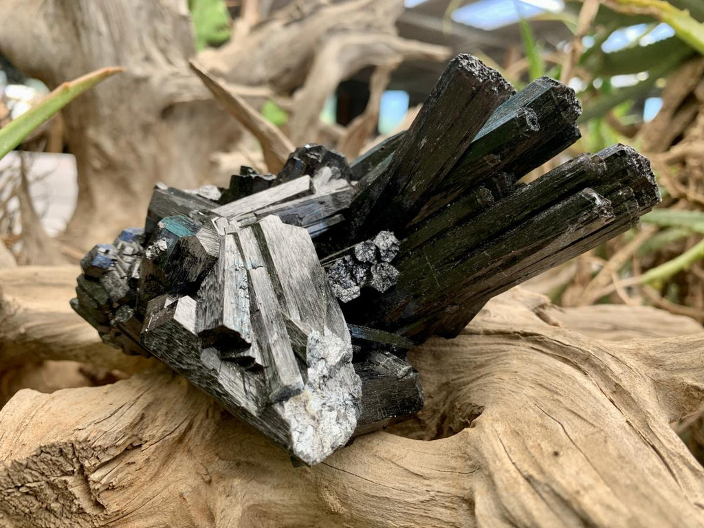 Natural Large Schorl Black Tourmaline Cabinet Specimen x 1 From Erongo, Namibia