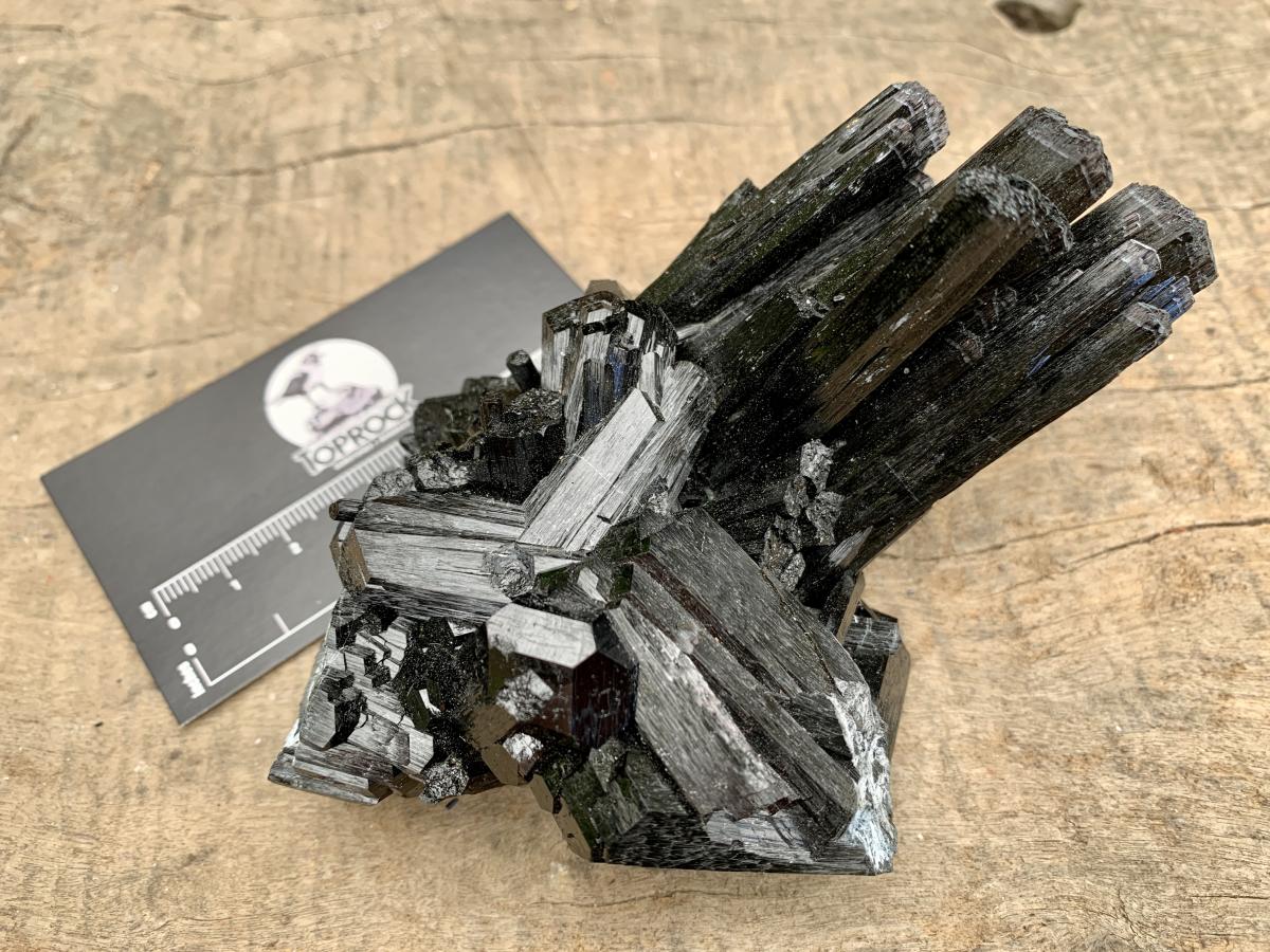 Natural Large Schorl Black Tourmaline Cabinet Specimen x 1 From Erongo, Namibia