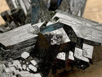 Natural Large Schorl Black Tourmaline Cabinet Specimen x 1 From Erongo, Namibia