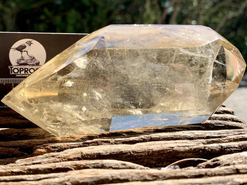 Polished Double Terminated Clear Citrine Crystal x 1 From Madagascar