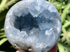 Polished Blue Celestite Geode Sphere x 1 From Sakoany, Madagascar