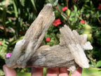 Natural Drusy Coated Spearhead Calcite Specimen x 1 From Albert's Mountain, Lesotho