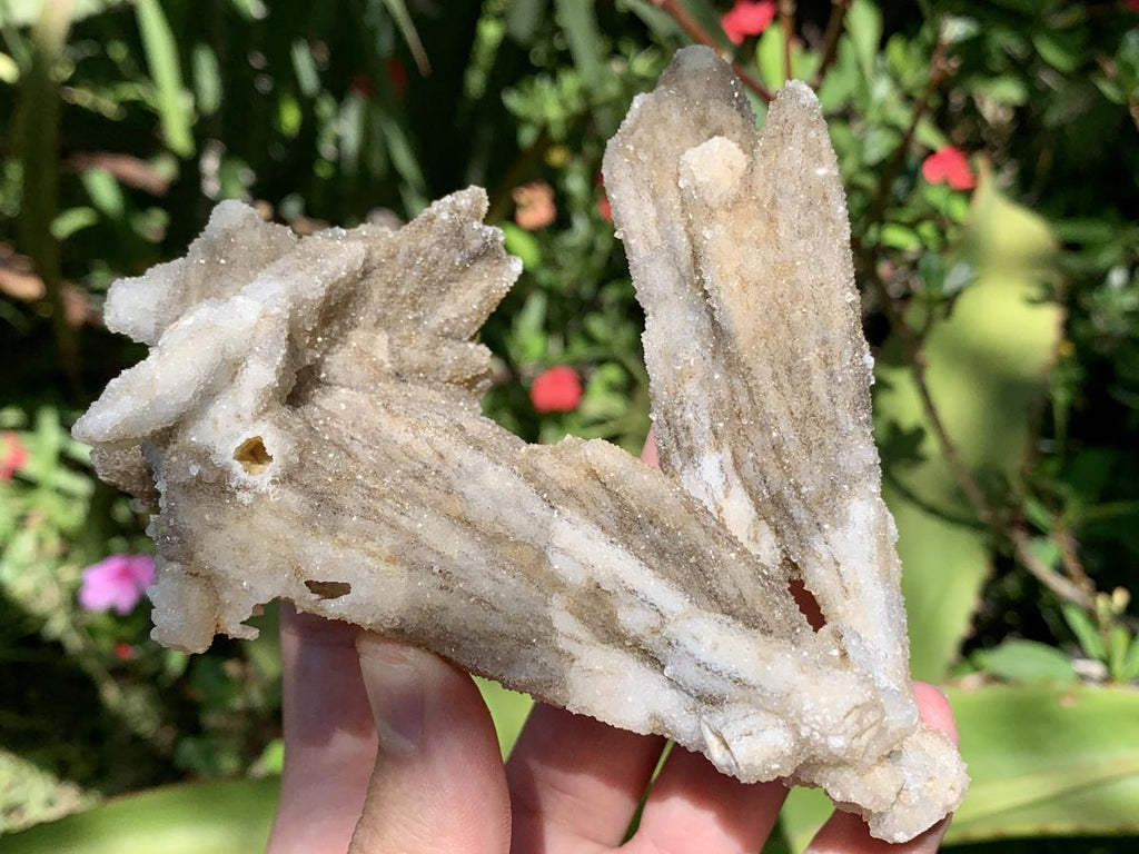Natural Drusy Coated Spearhead Calcite Specimen x 1 From Albert's Mountain, Lesotho
