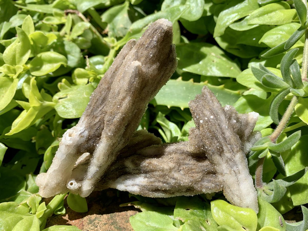 Natural Drusy Coated Spearhead Calcite Specimen x 1 From Albert's Mountain, Lesotho