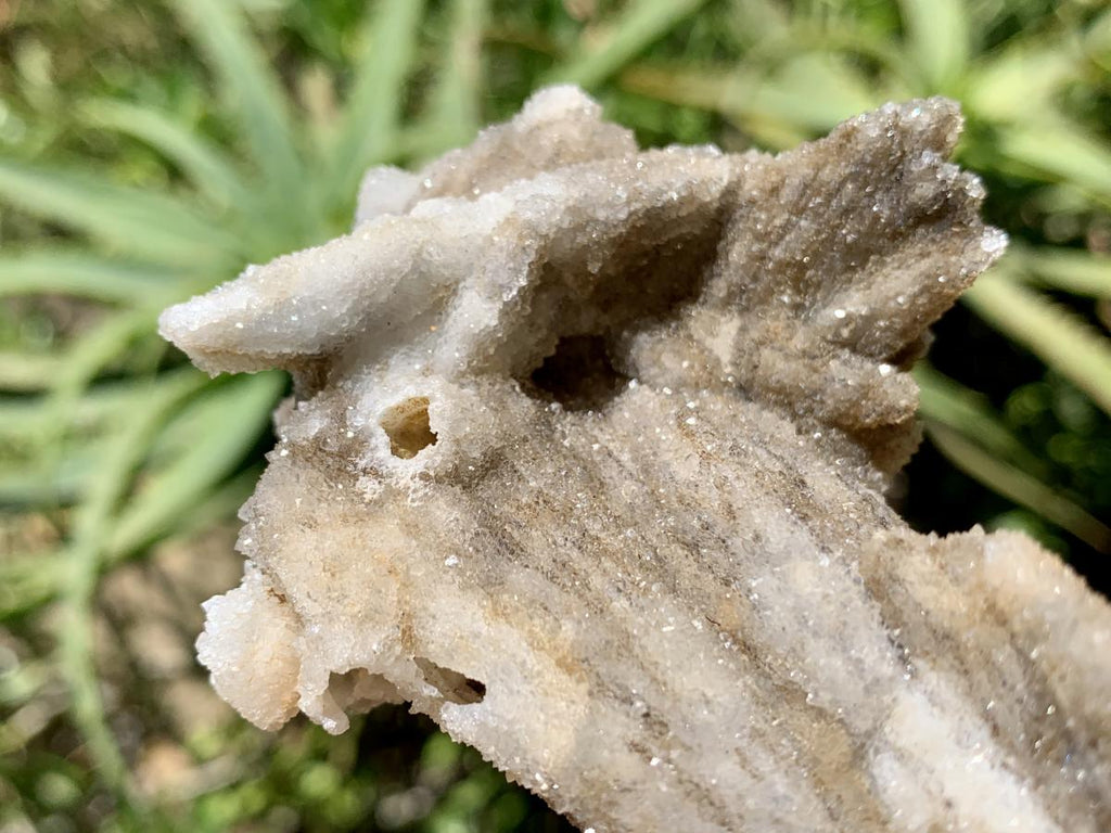 Natural Drusy Coated Spearhead Calcite Specimen x 1 From Albert's Mountain, Lesotho