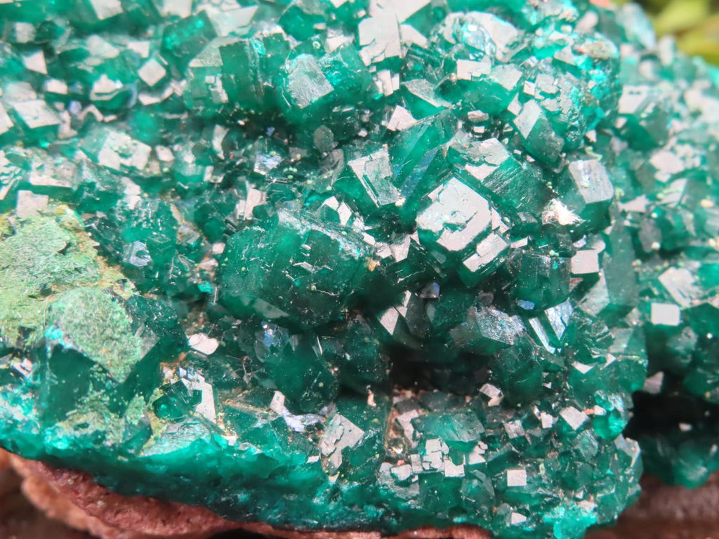 Natural Large Classic Dioptase Specimen x 1 From Likasi, Congo