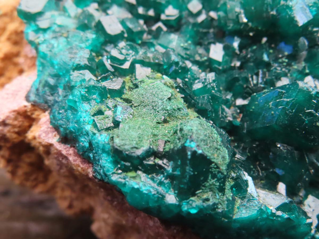 Natural Large Classic Dioptase Specimen x 1 From Likasi, Congo