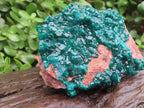 Natural Large Classic Dioptase Specimen x 1 From Likasi, Congo