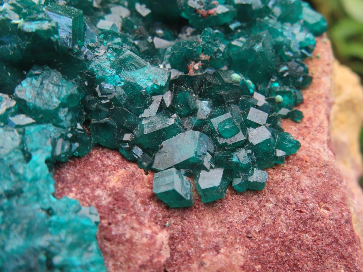 Natural Large Classic Dioptase Specimen x 1 From Likasi, Congo