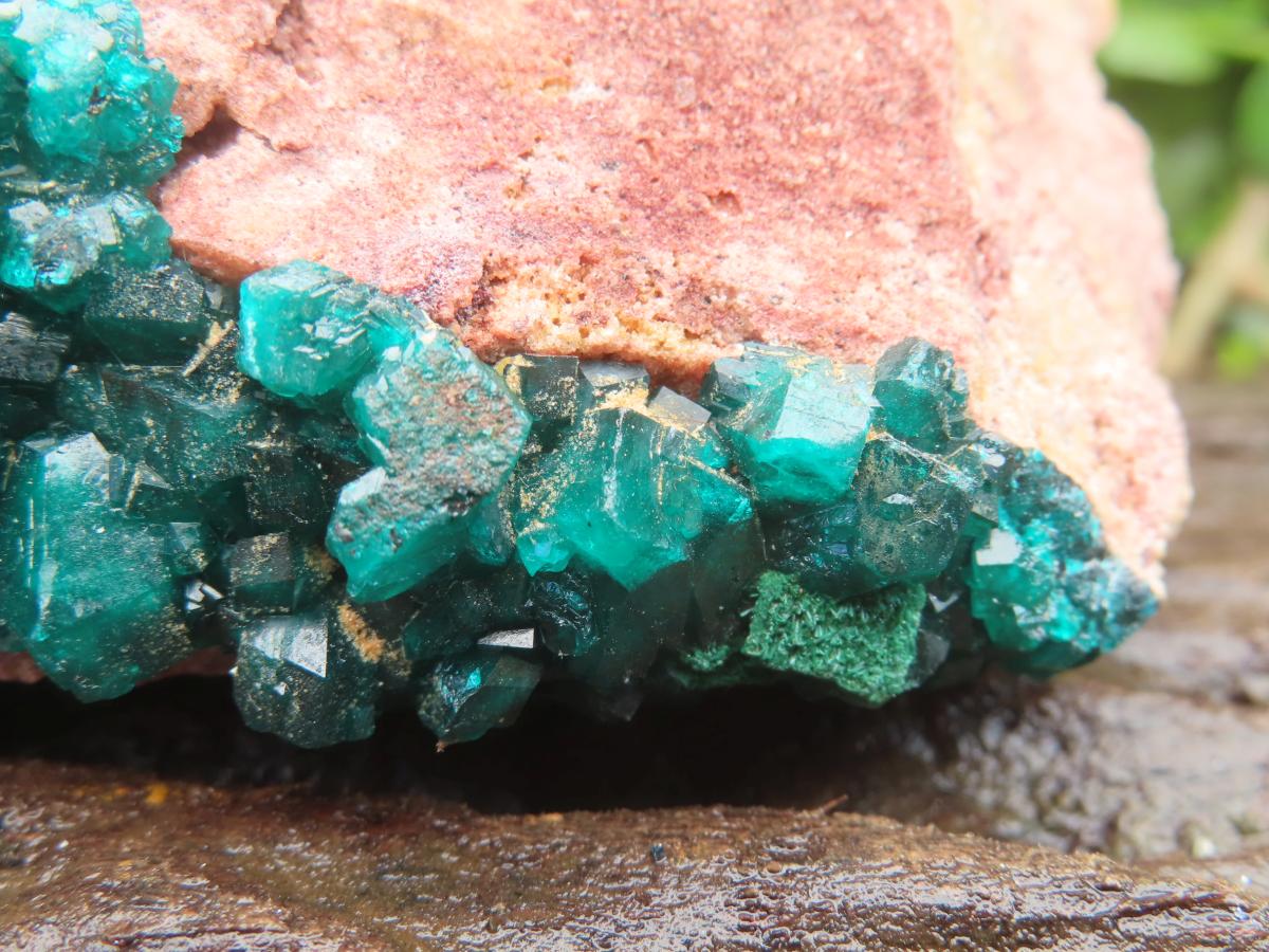 Natural Large Classic Dioptase Specimen x 1 From Likasi, Congo