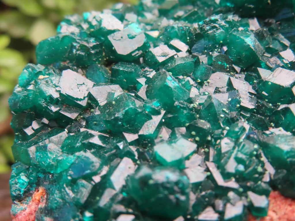 Natural Large Classic Dioptase Specimen x 1 From Likasi, Congo