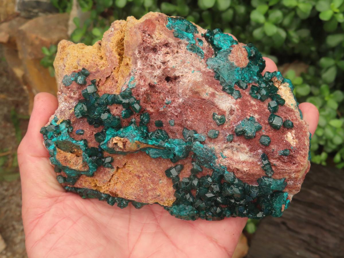 Natural Large Classic Dioptase Specimen x 1 From Likasi, Congo