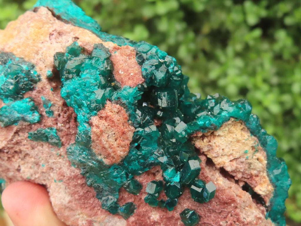 Natural Large Classic Dioptase Specimen x 1 From Likasi, Congo