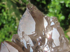 Natural Twin Peak Cascading Smokey Quartz Floater Crystal x 1 From Mount Zomba, Malawi